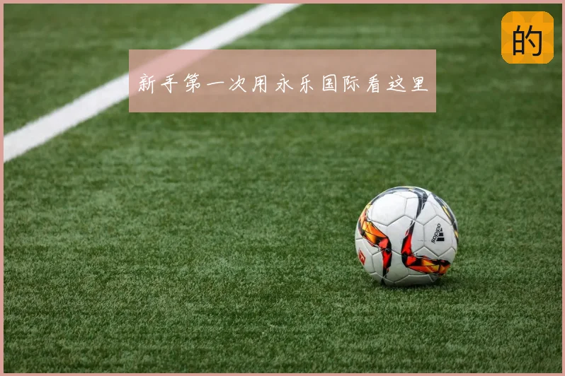 新手第一次用永乐国际看这里